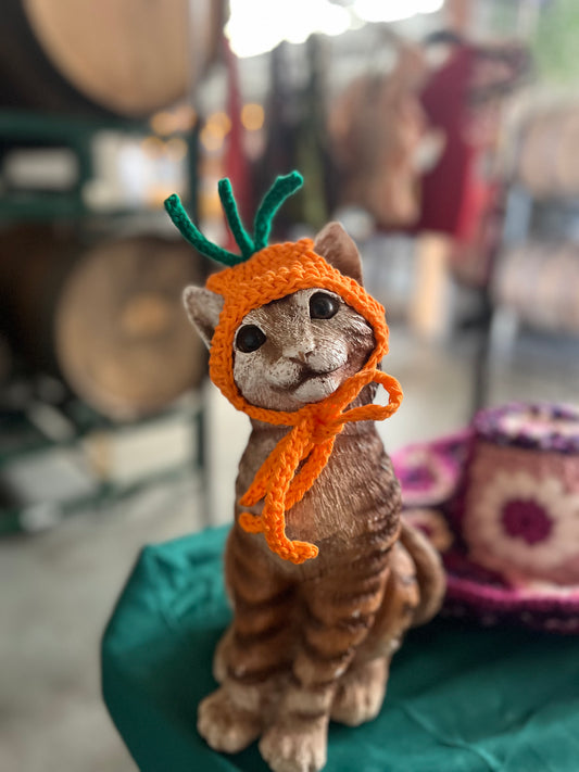 Carrot Cat Hat