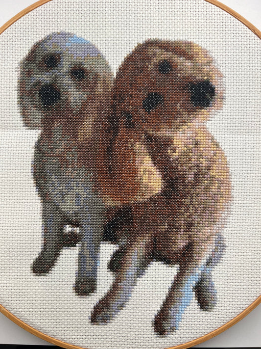 Custom Pet Cross-Stitch